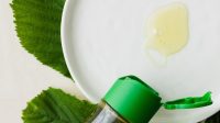 10 Penggunaan Lidah Buaya dalam Pengobatan Tradisional dari Berbagai Budaya, Cek Yuk!