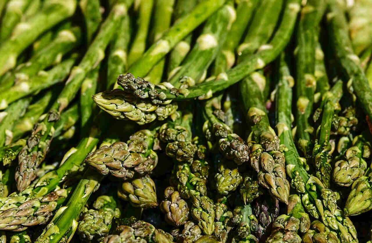 6 Manfaat Utama Asparagus dalam Mengurangi Risiko Kanker, Ternyata Karena Nomor 4 Ini Lho