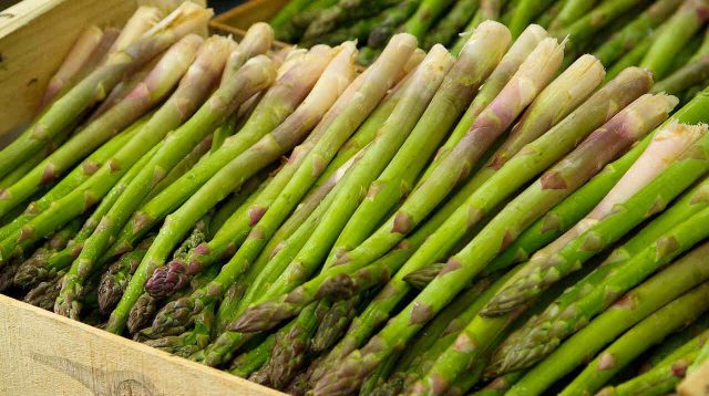 6 Manfaat Asparagus dalam Mengatasi Masalah Pernapasan, Kandungan Ini Bisa Redakan Asma Lho