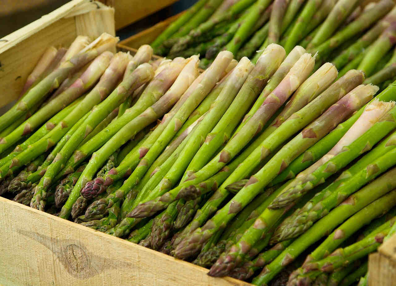 6 Manfaat Asparagus dalam Mengatasi Masalah Pernapasan, Kandungan Ini Bisa Redakan Asma Lho