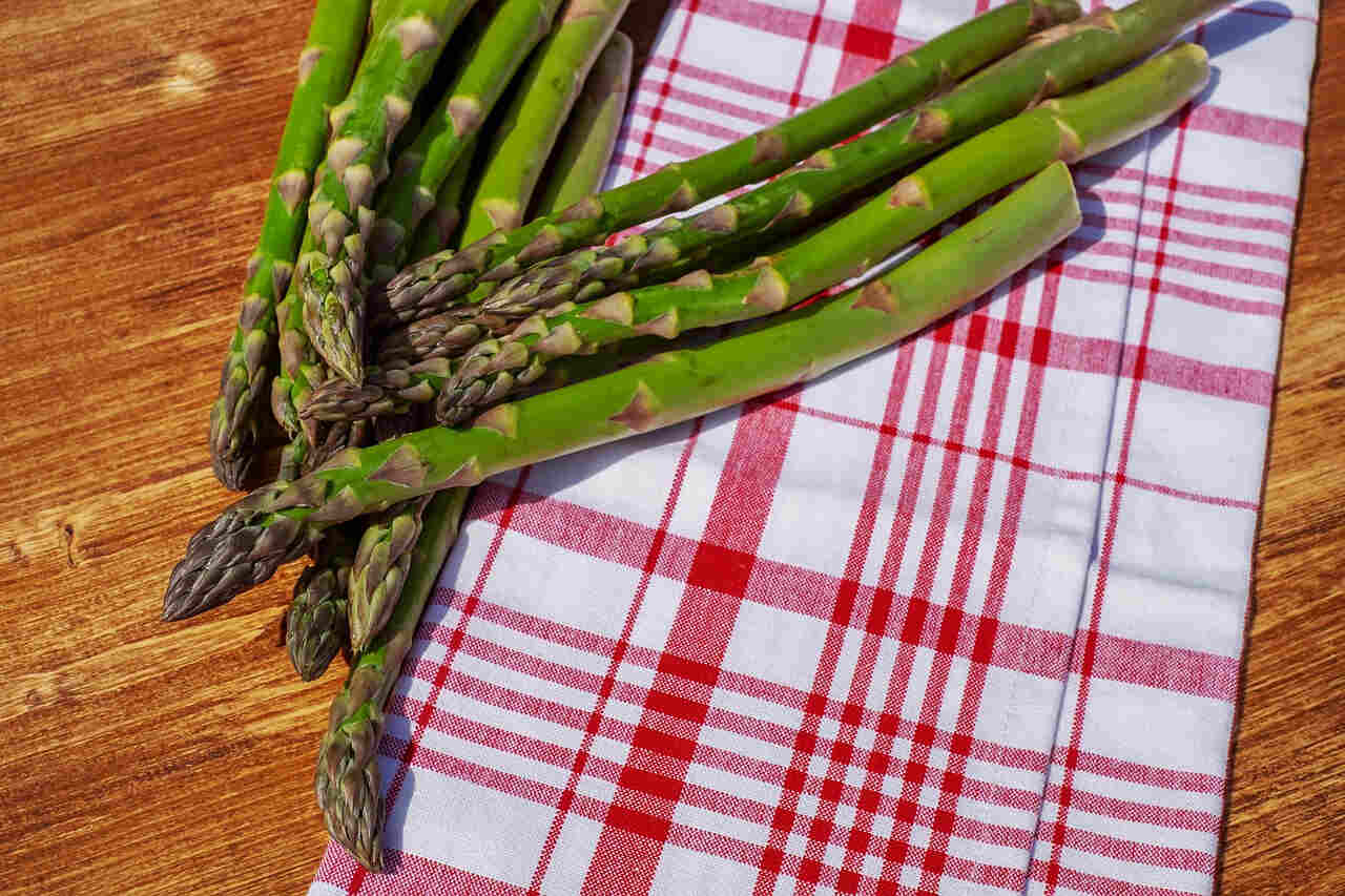 INTIP Hubungan Tentang Kesehatan Mata dan Manfaat Asparagus yang Jarang Orang Ketahui