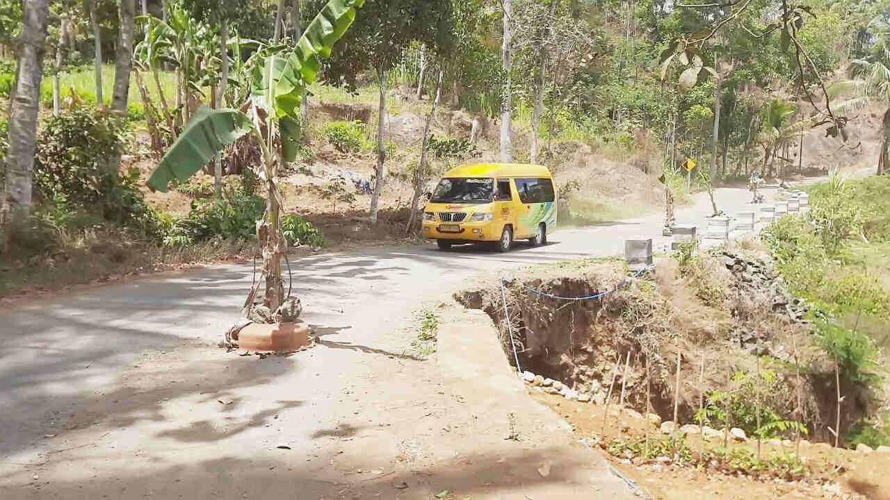 Kesal Tak Kunjung Diperbaiki, Warga di Kecamatan Pule Trenggalek Tanam Pohon Pisang di Jalan Rusak