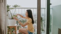 Ternyata Ini 7 Alasan Dibalik Tanaman Janda Bolong Cocok untuk Dekorasi Interior Rumah