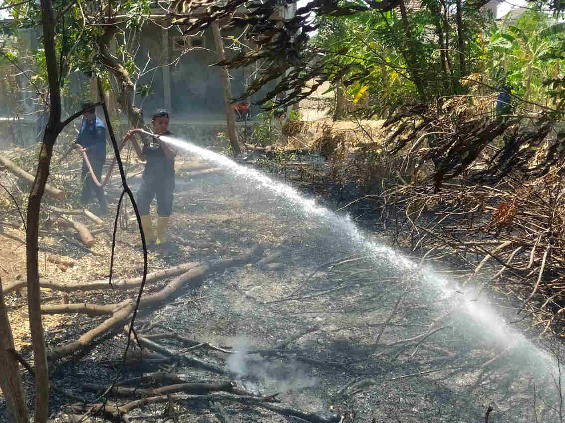 Niat Bakar Sampah, Api Merembet di Lahan Warga Ponorogo