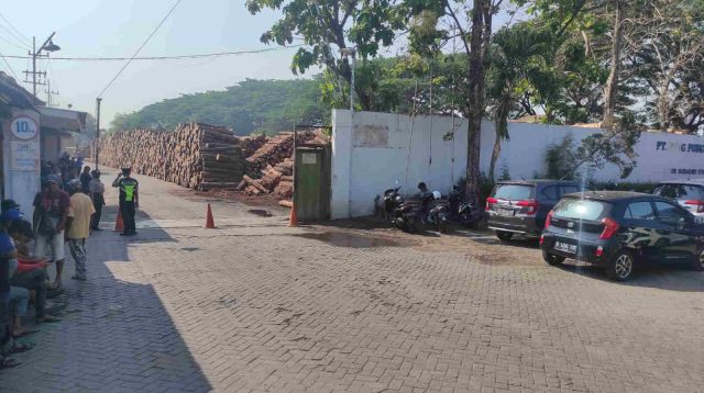 Gudang Pabrik Pengolah Kayu di Jombang Terbakar, Penyebabnya Belum Diketahui