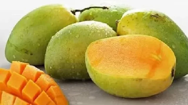 7 Tips Memilih Buah Mangga yang Matang dan Manis di Pasaran, Jangan Sampai Salah Pilih!