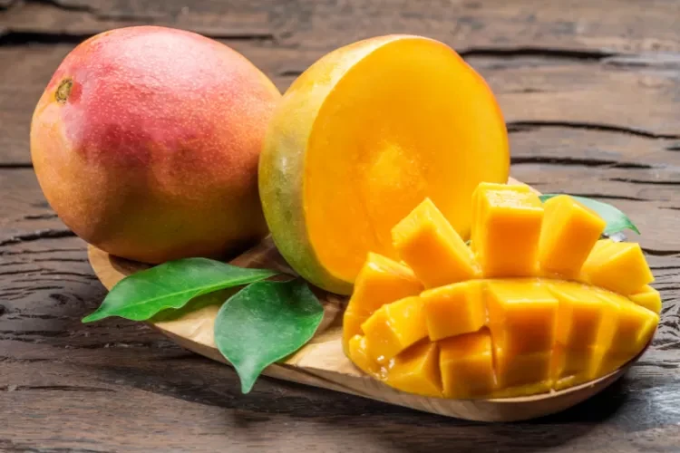6 Jenis Varietas Buah Mangga yang Populer di Indonesia, Lengkap dengan Asal Daerah, Karakteristik, dan Musim Panennya