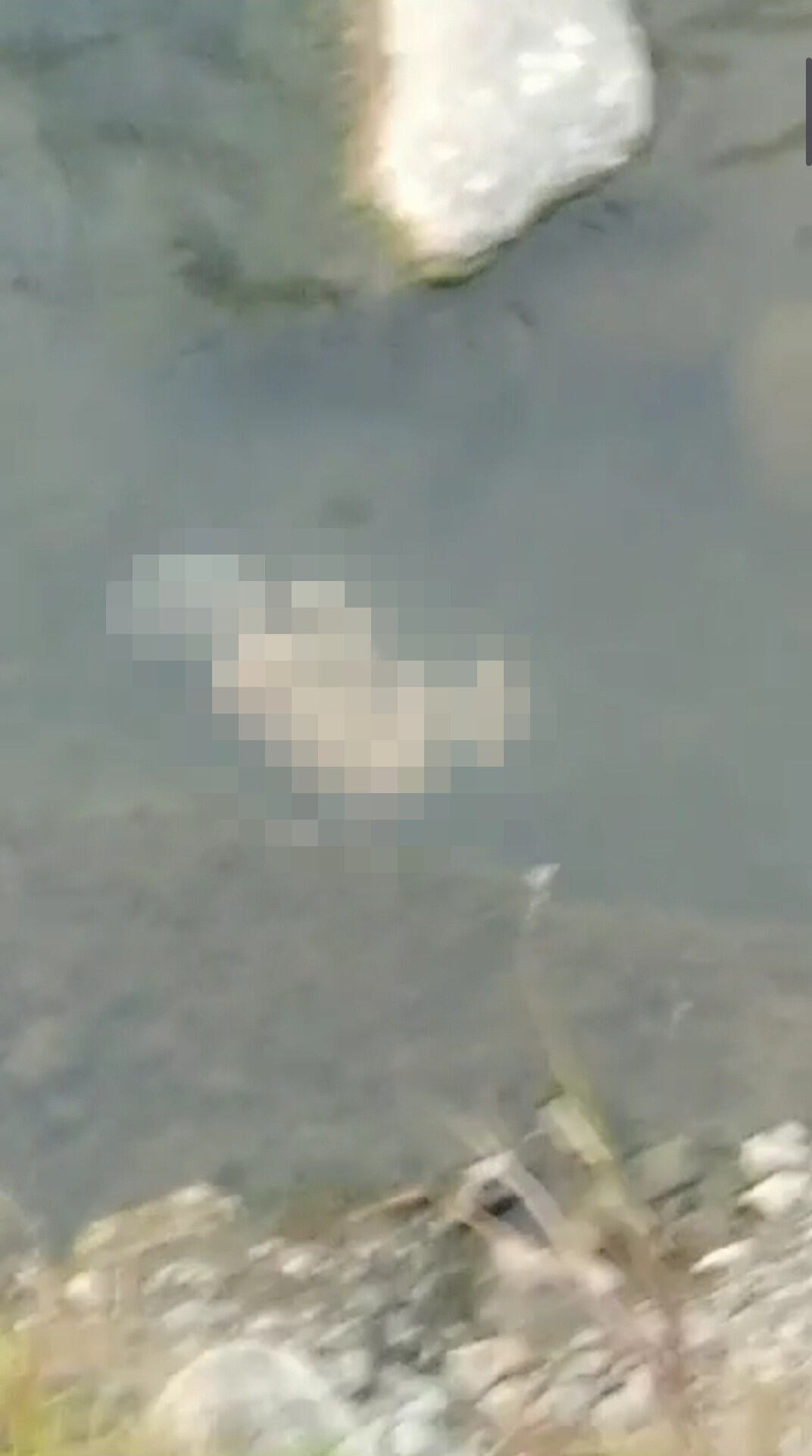 Geger, Temukan Mayat Bayi, Mengambang di Sungai Ponorogo