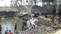 Setahun Sekali Dam Balongsono Ditutup, Warga Desa Talunkidul Jombang Panen Ikan