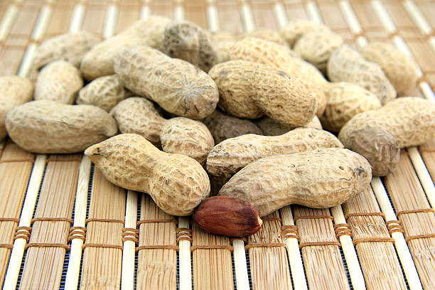 Title: 9 Komponen Penting Kacang untuk Diet Vegetarian, Jadi Sumber Nutrisi yang Vital!