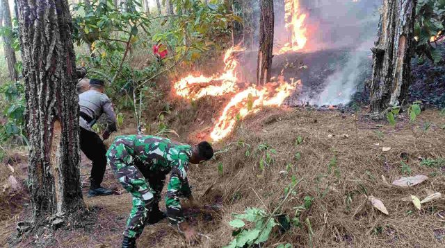 Kebakaran di Gunung Putan Trenggalek, Sempat Ancam Permukiman Warga