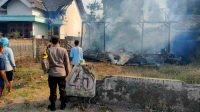 Bakar Ketela, Rumah Warga Desa Selodono Ringinrejo Hangus Terbakar