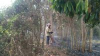Gara-gara Sampah, Lahan Kosong Warga Desa Krenceng Kabupaten Kediri Terbakar