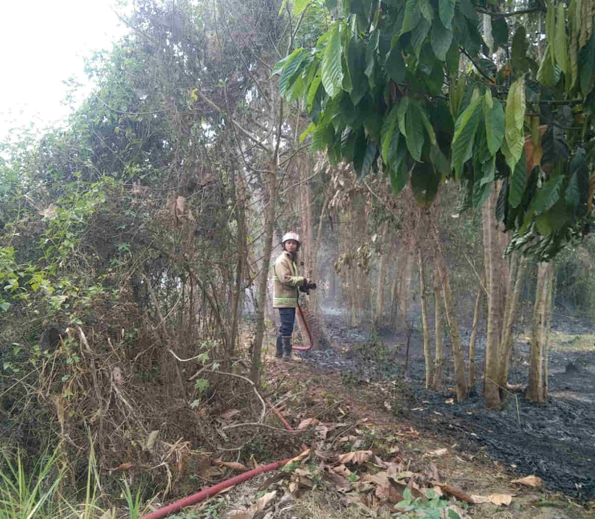 Gara-gara Sampah, Lahan Kosong Warga Desa Krenceng Kabupaten Kediri Terbakar