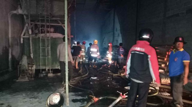 Pabrik Egg Tray Desa Bedali Terbakar, Kerugian Sekitar Rp 10 Juta