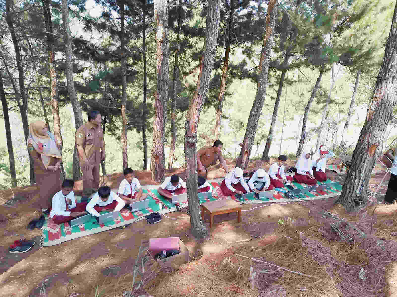 Sulit Sinyal, Puluhan Siswa SDN 2 Dompyong Kecamatan Bendungan Trenggalek ANBK di Hutan Pinus