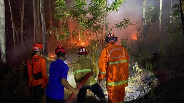 Jeda Lima Hari, Karhutla di Kabupaten Trenggalek Bertambah Enam Titik