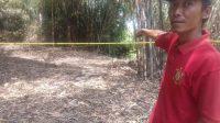 Ketua RT: Suami Cemburuan dan Pendiam