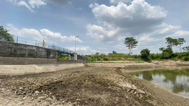 Embung Jatimalang Mengering, Ratusan Ha Lahan Pertanian di Kota Blitar Kesulitan Air
