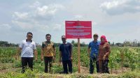 Usai Disita, Tanah Milik Koruptor Tulungagung Dilelang