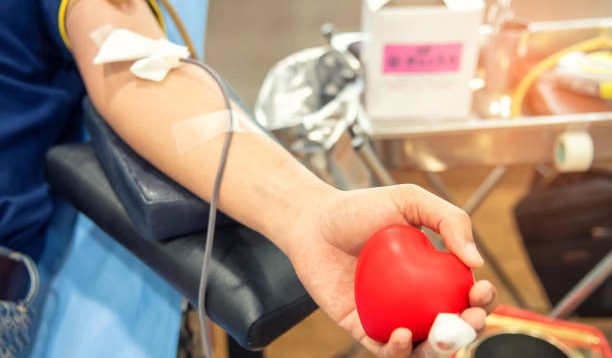 Donor Darah dan Kesehatan Jantung, Apakah Kedua Hal Ini Saling Berkaitan?