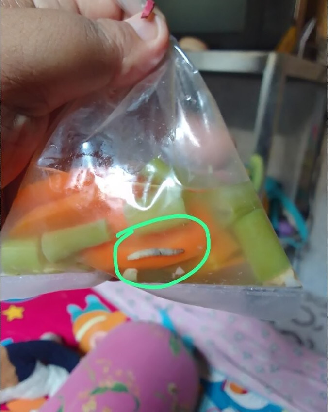 Terdapat Ulat di Makanan Tambahan Bantuan Stunting di Kabupaten Jombang