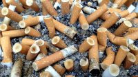 Filter Rokok, Jangan Abaikan Dampaknya bagi Lingkungan!