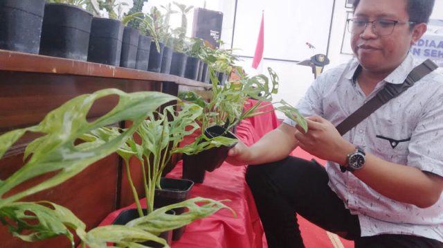 Pandu Aji Wirawan: Sukses Geluti “Janda Bolong” Omzet Tembus Rp 0,5 Miliar