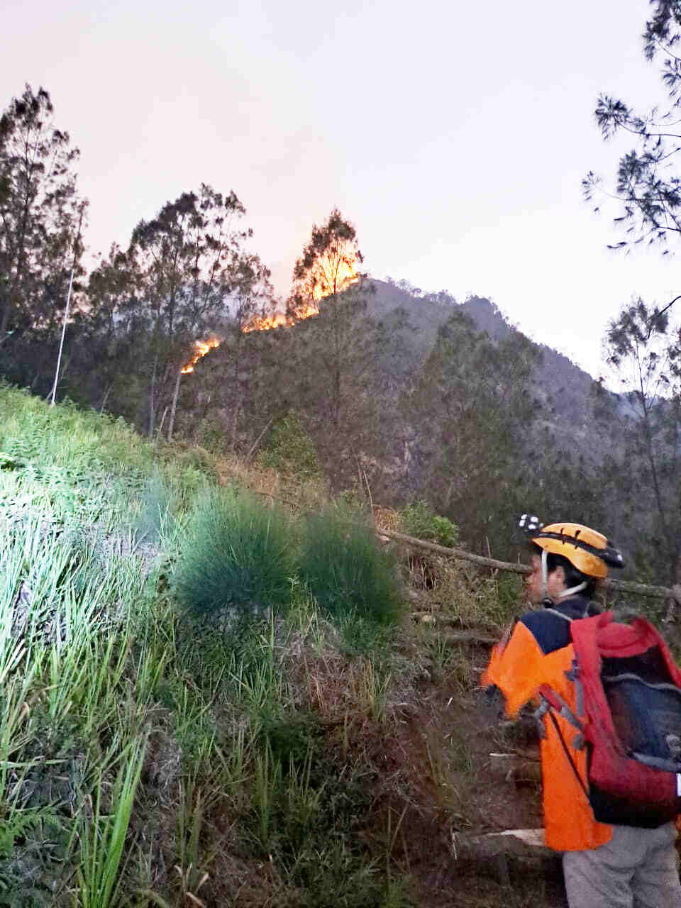 Lereng Gunung Panderman Terbakar, Ini Kata BPBD Kota Batu