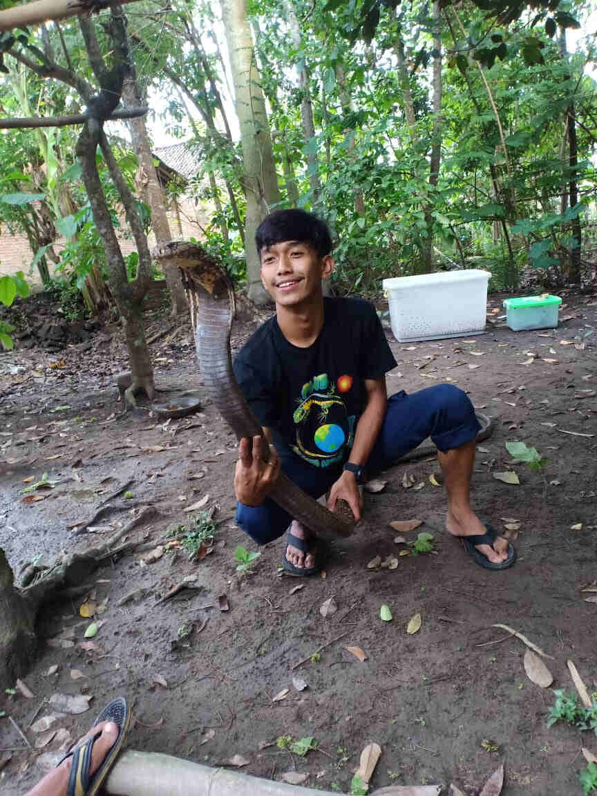 Mohammad Dhikri Maqsudi, Duta Pemuda Keren Kota Blitar Yang Gandrung Menyelamatkan Ular Berbisa