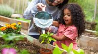 10 Peran dari Kegiatan Berkebun, Salah Satu Aktivitas yang Menyenangkan dan Edukatif