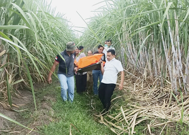 Bersihkan Daun Tebu, Warga Desa Susuhbango Temukan Mayat