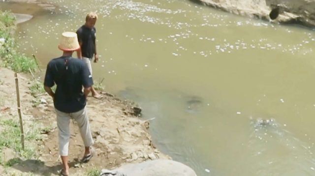 Sungai Keyang dan Wisata Air Terjun Pletuk Ponorogo Tercemar, Diduga Akibat Limbah Sapi