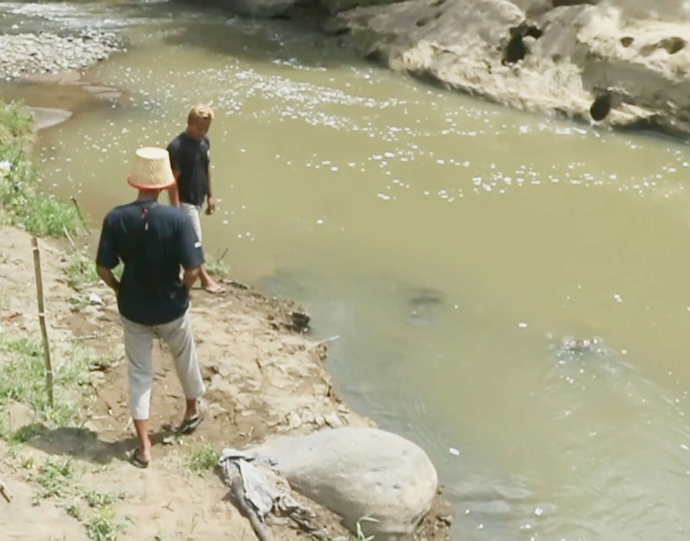 Sungai Keyang dan Wisata Air Terjun Pletuk Ponorogo Tercemar, Diduga Akibat Limbah Sapi