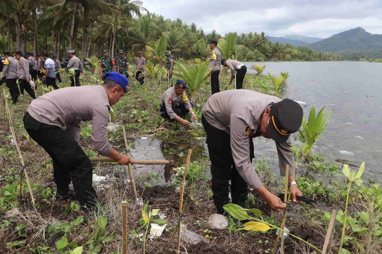 Tanam Bibit Mangrove di Pantai Tanam Kili-kili Trenggalek, Jaga Bentang Alam Pesisir