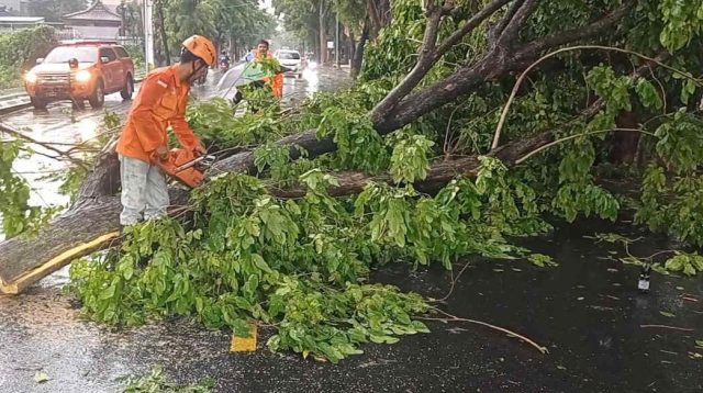 Lagi, Hujan Disertai Angin Kencang, Jalur Madiun – Ponorogo Tertutup