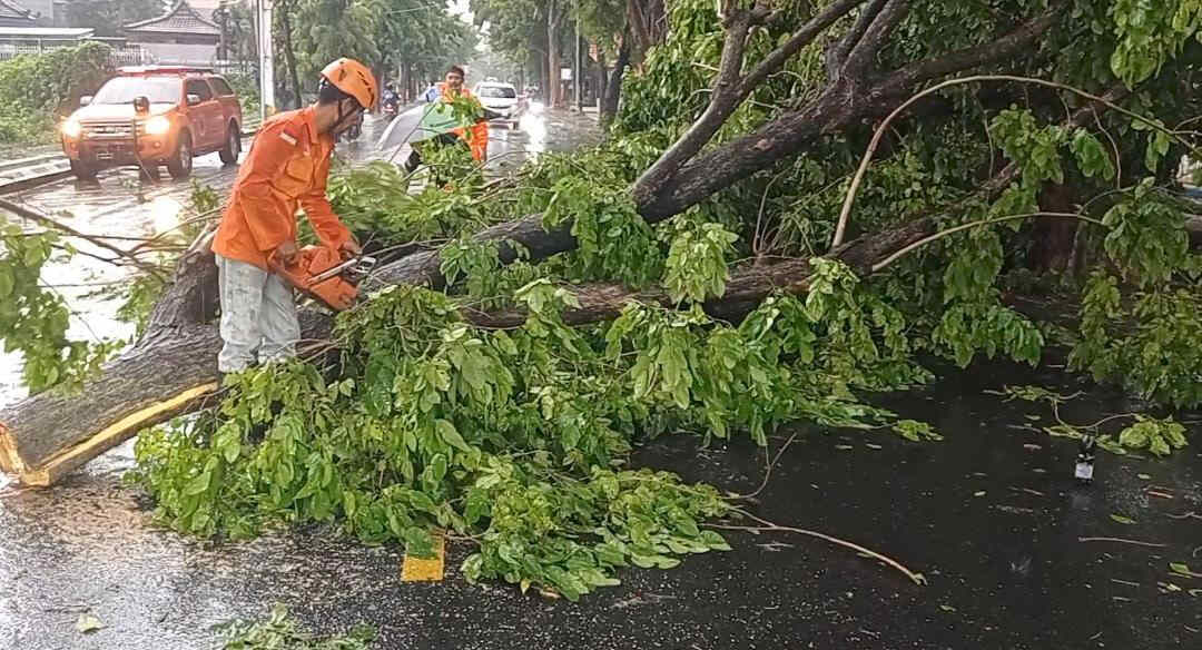 Lagi, Hujan Disertai Angin Kencang, Jalur Madiun – Ponorogo Tertutup