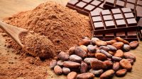 Coklat Sebagai Obat Nyamuk? Intip 7 Fakta Unik Dibalik Aromanya yang Menggiurkan