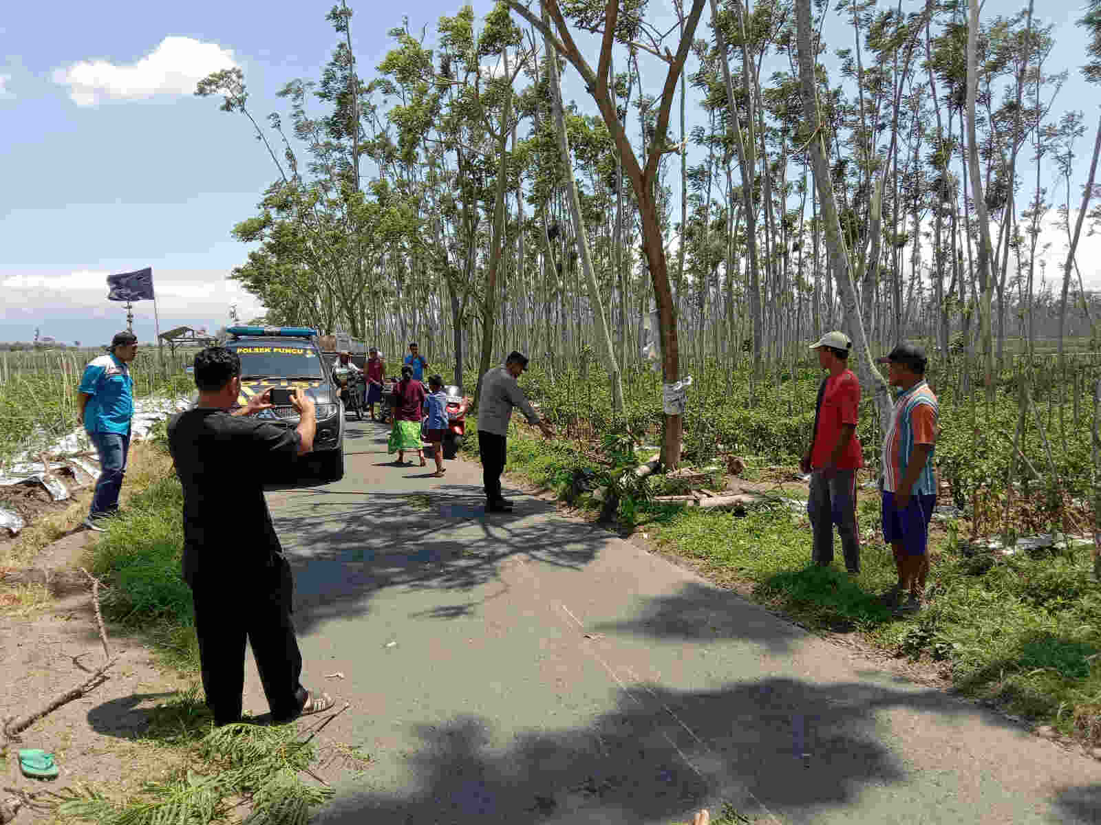 Tertimpa Pohon di Kediri, Pengendara Motor Meregang Nyawa