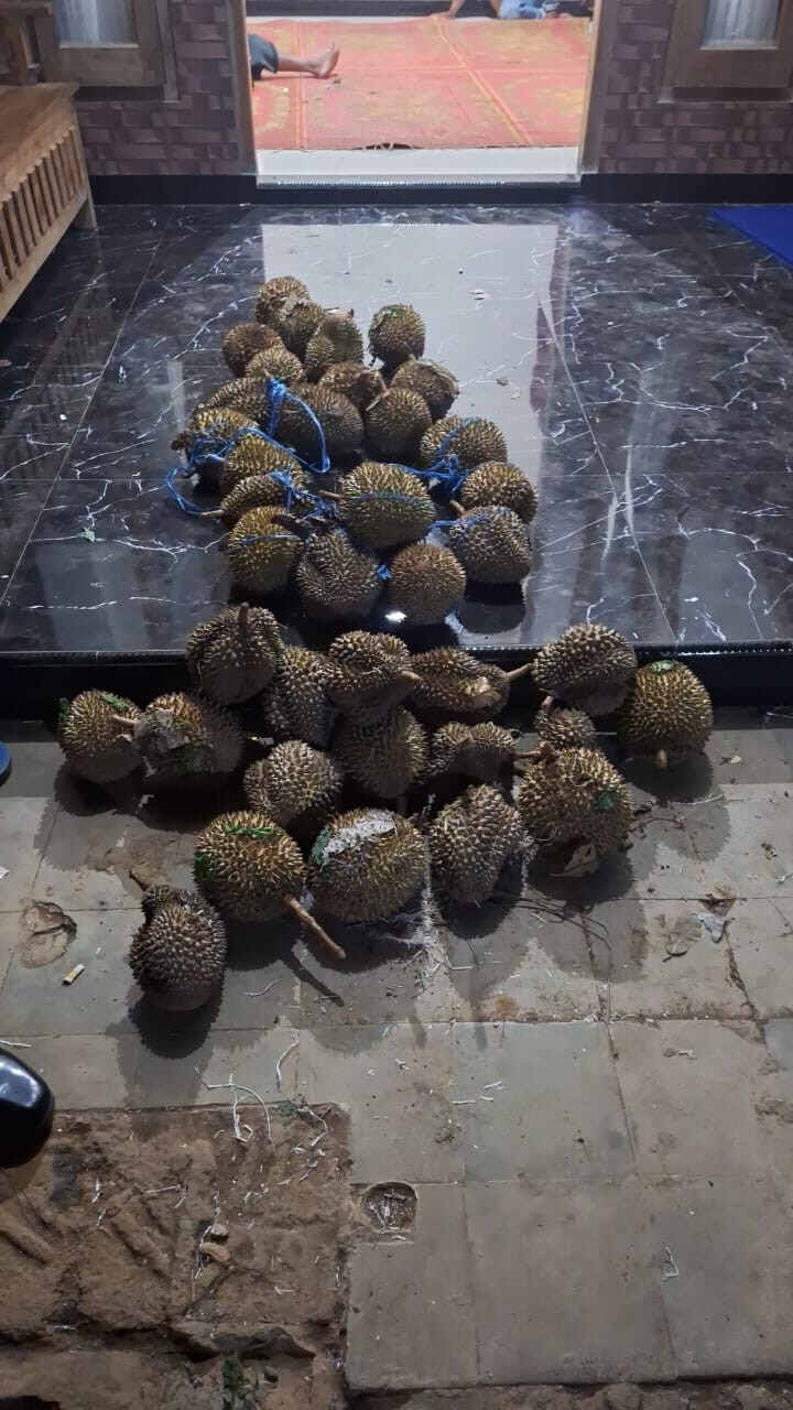 Warga Kediri Panen Durian Berujung Urusan dengan Polisi, Begini Kisahnya