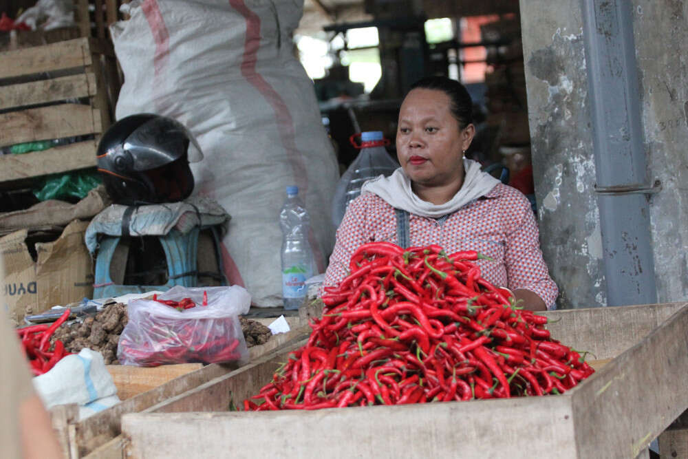 Stop Kirim Luar Daerah, Produksi Cabai Rawit 19 Ton Hanya Mampu Mencukupi Kabupaten Kediri
