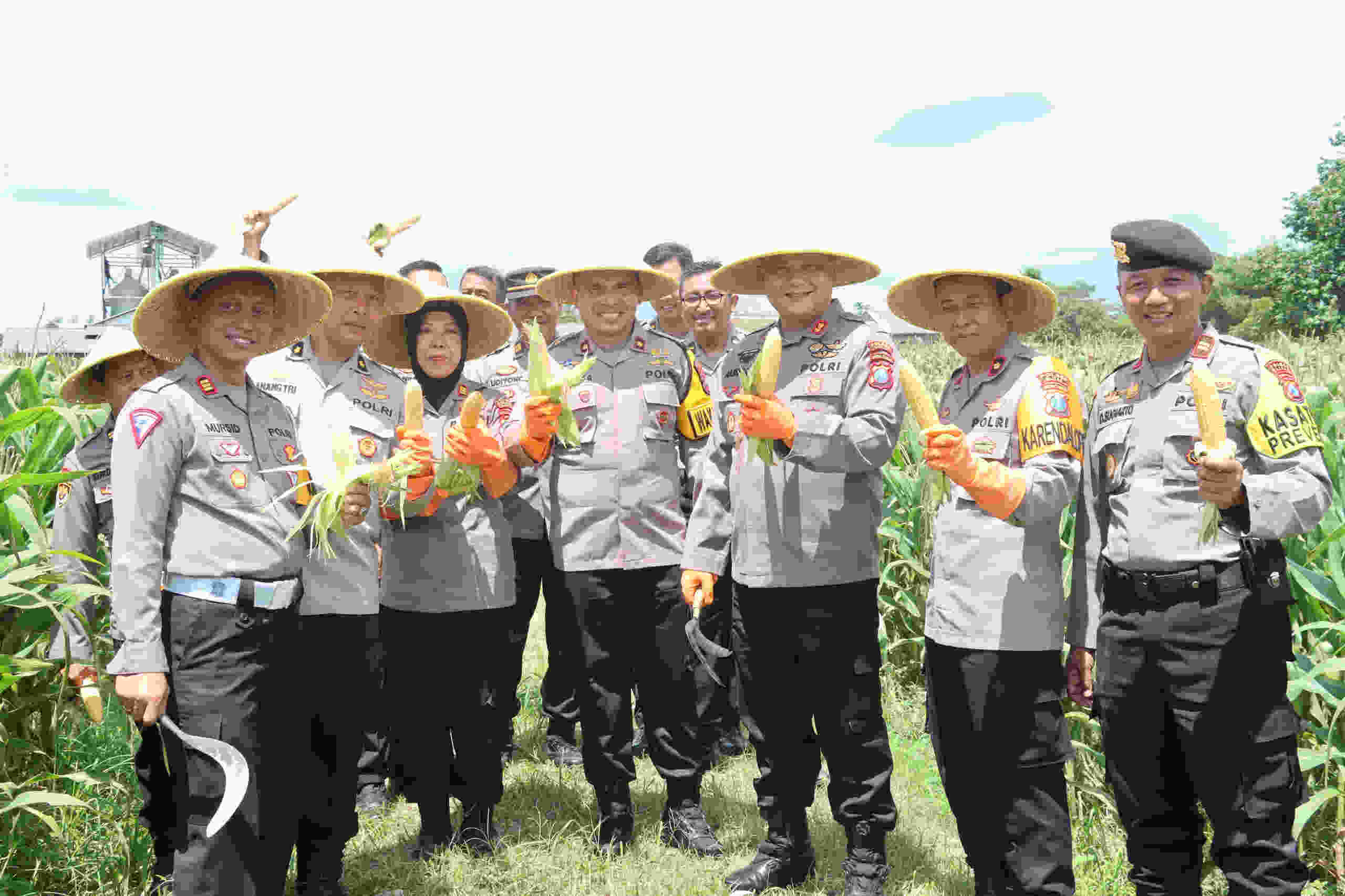 Panen Jagung, Dibagi ke Anggota dan Warga Blitar