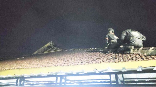 Dramatis..!! Petugas Damkar Evakuasi Sarang Tawon Vespa Affinis RSUD dr Soedomo