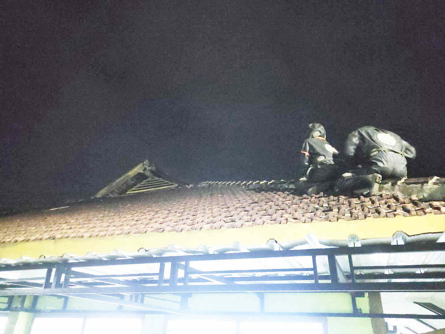 Dramatis..!! Petugas Damkar Evakuasi Sarang Tawon Vespa Affinis RSUD dr Soedomo