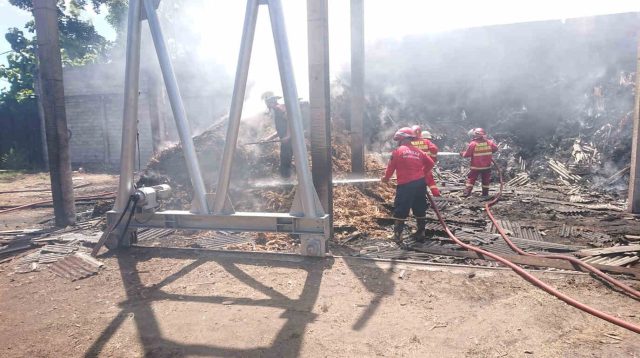 Tumpukan Sepah Tebu di Tulungagung Kebakaran, Kerugian Kisaran Rp 100 Juta