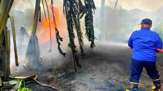 Tersulut Api Pembakaran Sampah, Pengepul Ban Bekas Tulungagung Rugi Rp 20 Juta