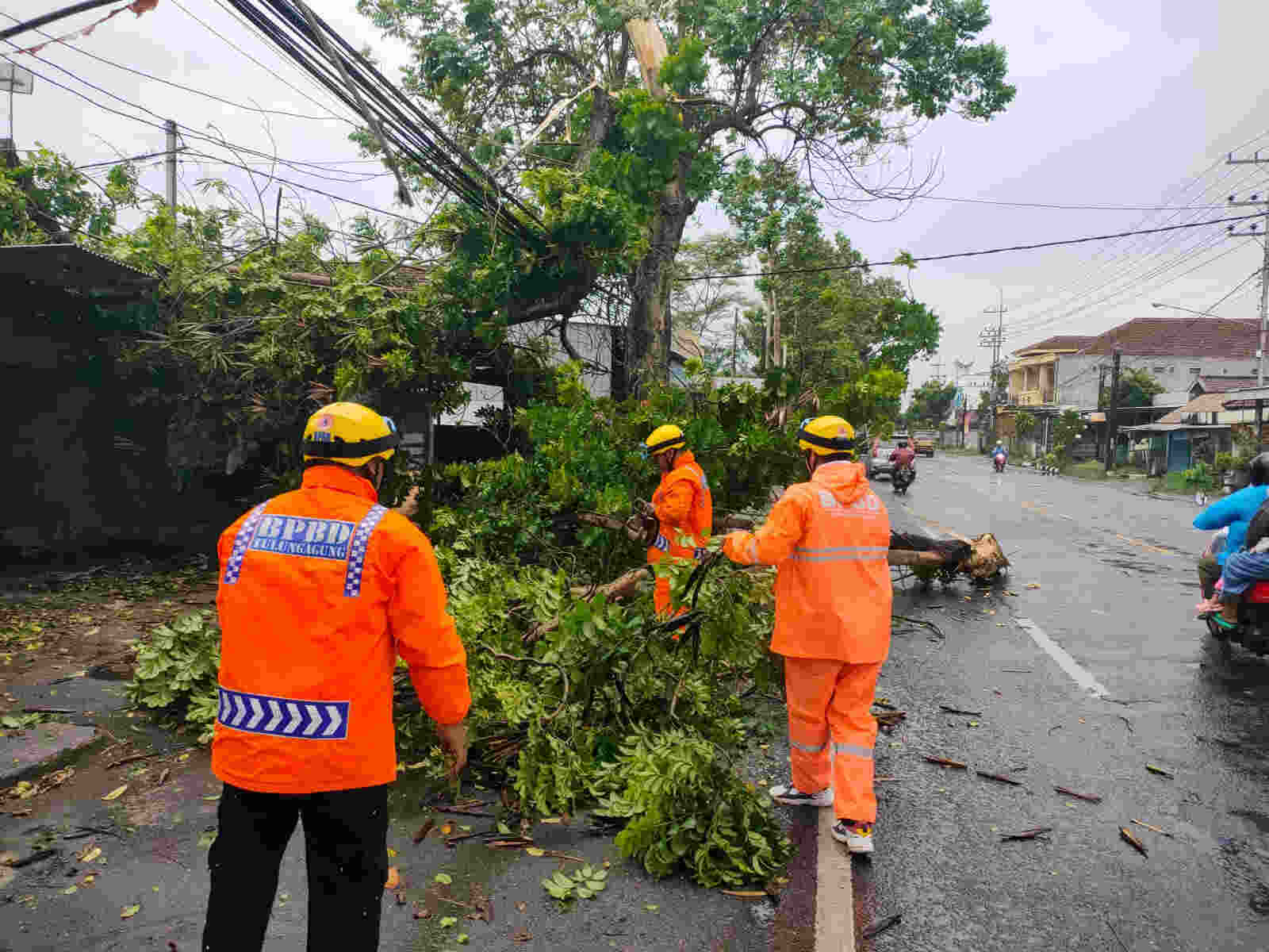 Hujan Deras dan Angin Kencang, BPBD Tulungagung Catat Lima Kecamatan Terdampak