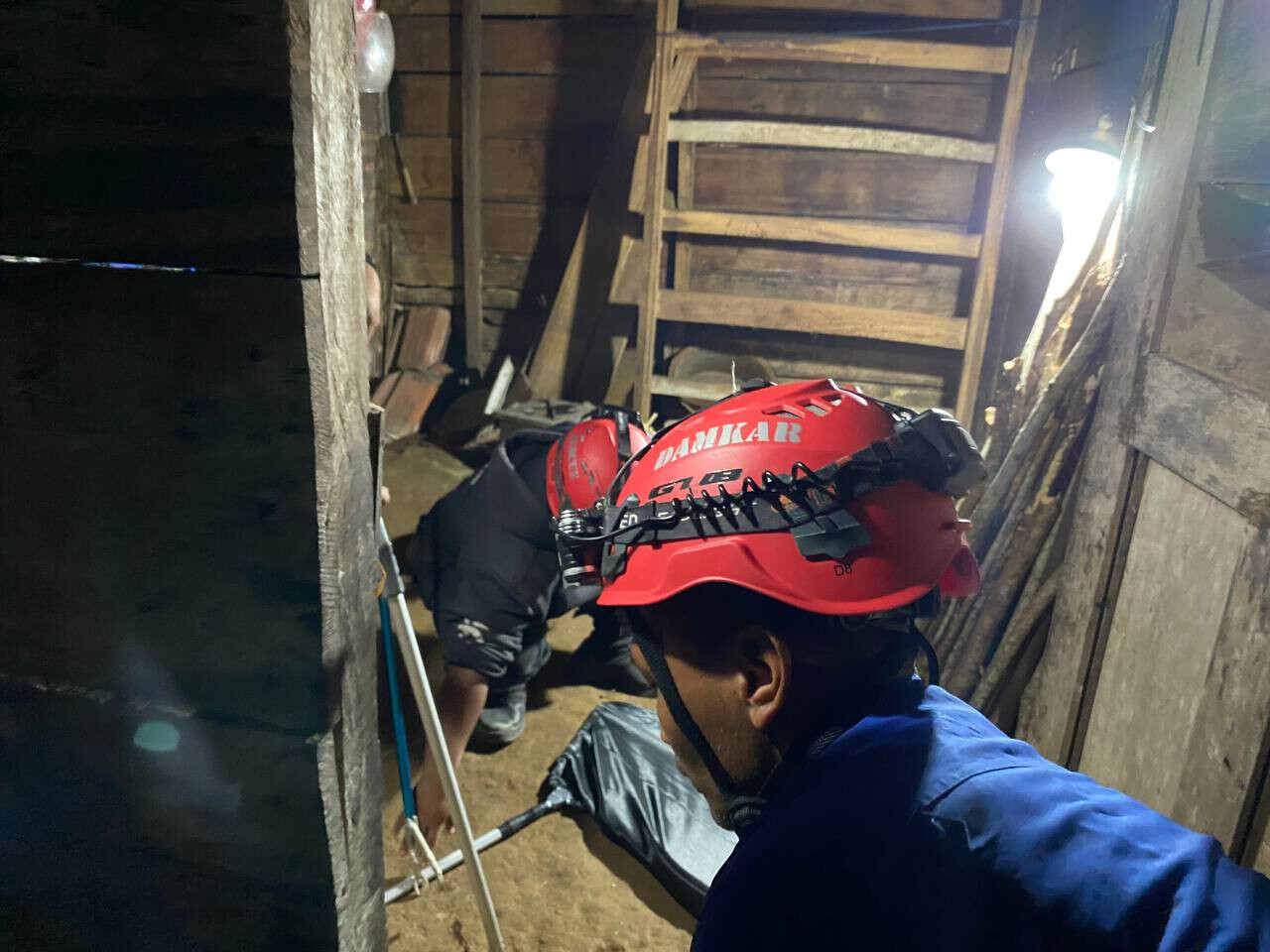 Satpol PP dan Pemadam Kebakaran Kabupaten Trenggalek Evakuasi Ratusan Ular dalam Setahun