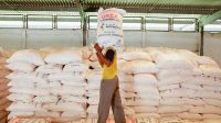Pupuk Subsidi Susut 40 Persen, Ketahanan Pangan Terancam, Kementan Jamin Stok Pupuk Periode Januari – Februari 1,6 Juta