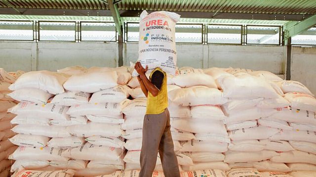 Pupuk Subsidi Susut 40 Persen, Ketahanan Pangan Terancam, Kementan Jamin Stok Pupuk Periode Januari – Februari 1,6 Juta